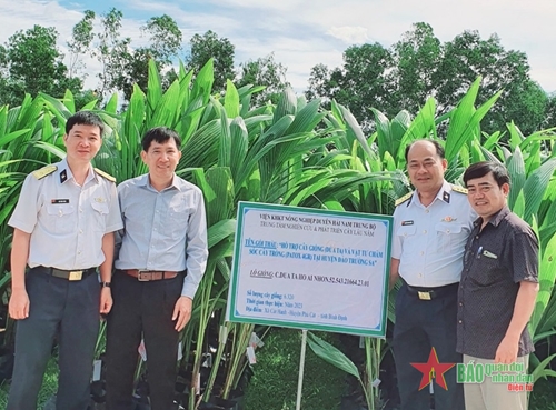 Bình Định chung tay với Vùng 4 Hải quân thực hiện chương trình “Xanh hóa Trường Sa”